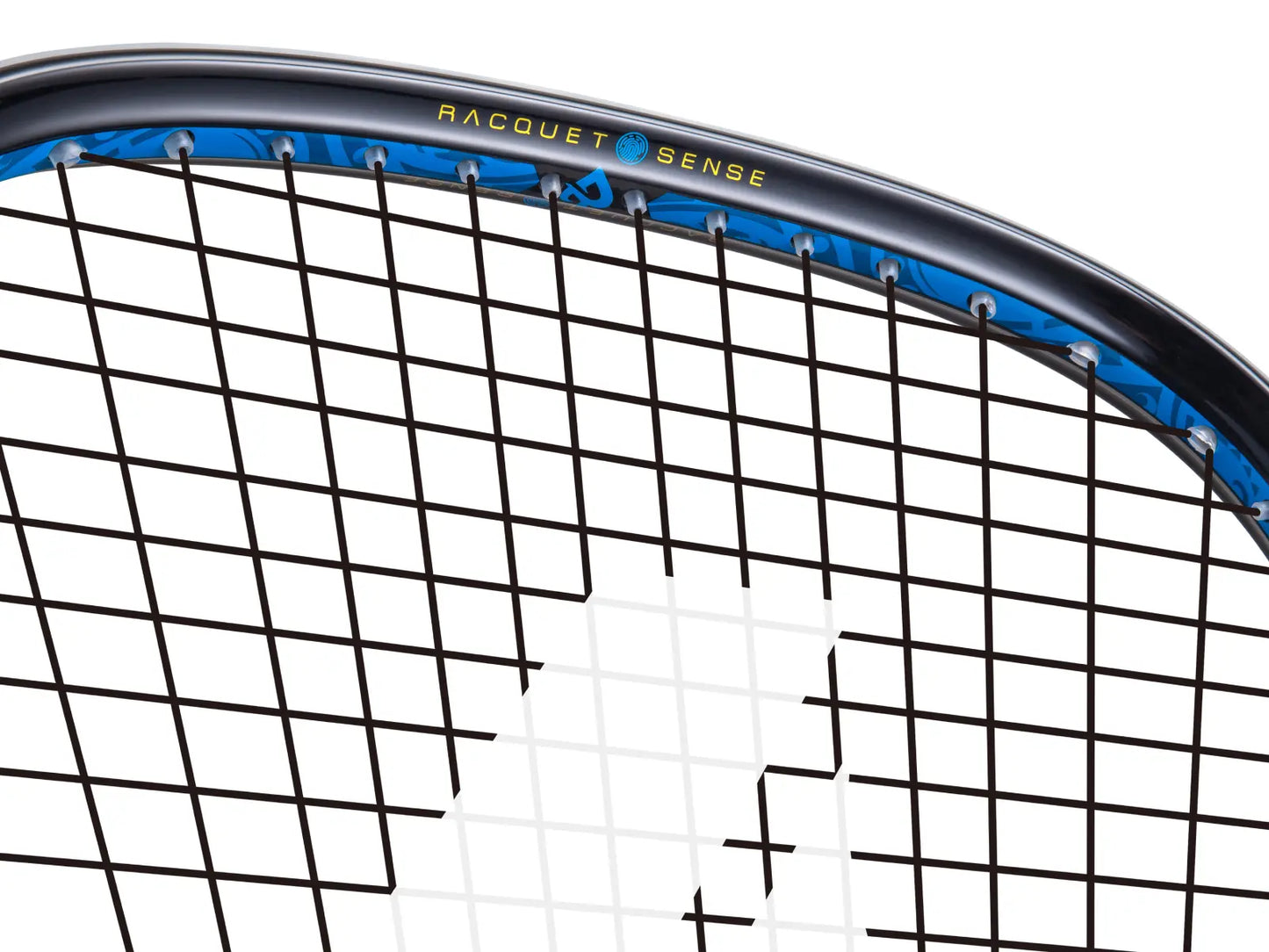 002 - 2026 Black Ace Pro 170